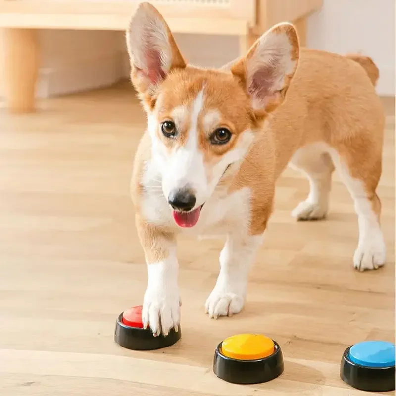 2026 Recordable Talking Pet Bu - مراجعة Event Party Box وسعره