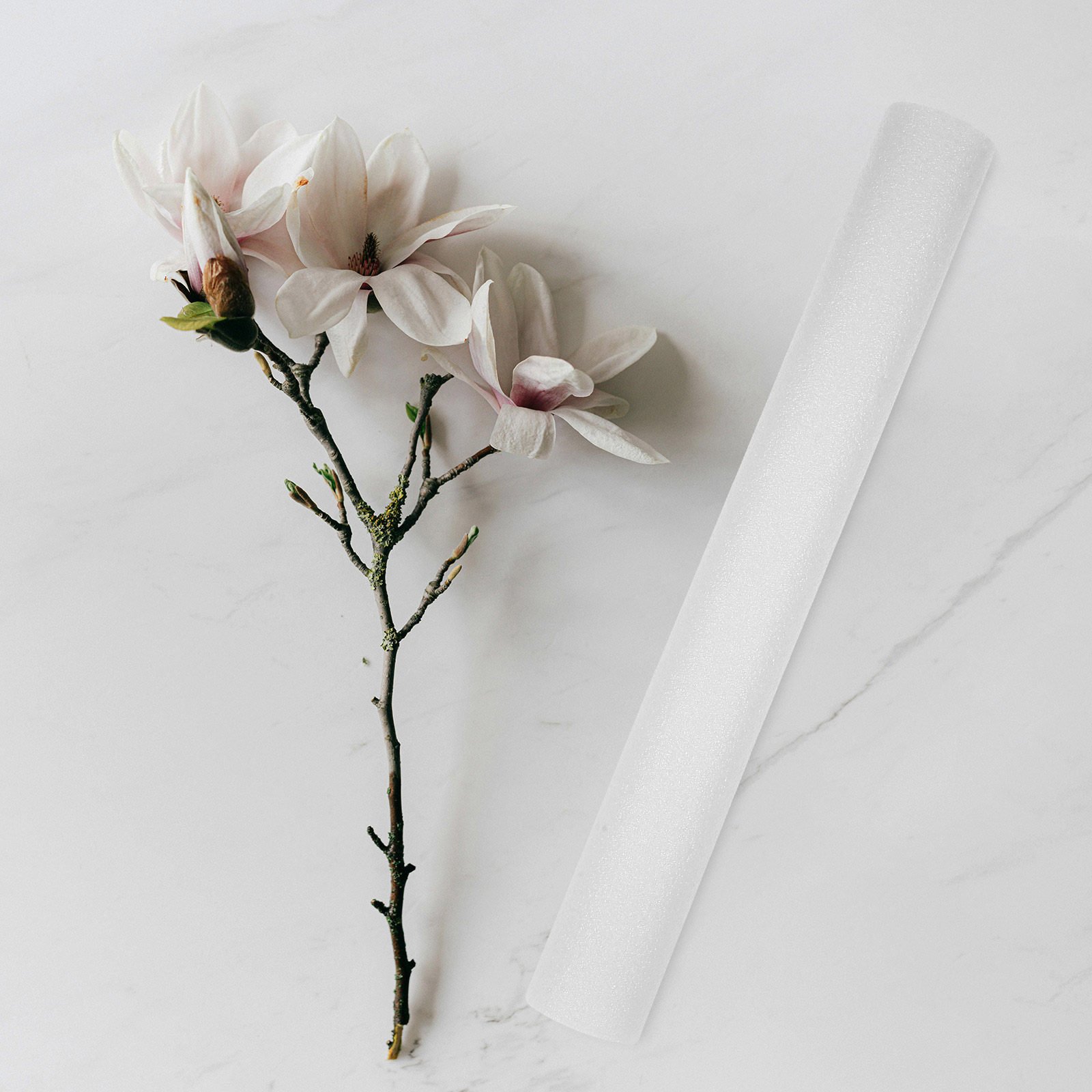 7Pcs Flower Arranging Foam Sti - مراجعة Centerpiece Stick وسعره